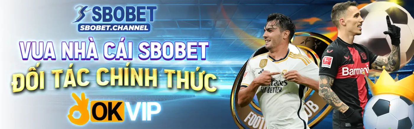 vua nhà cái sbobet đối tác chính thức okvip