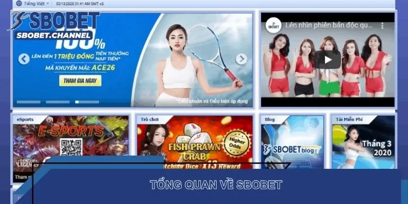 Tổng quan về SBOBET
